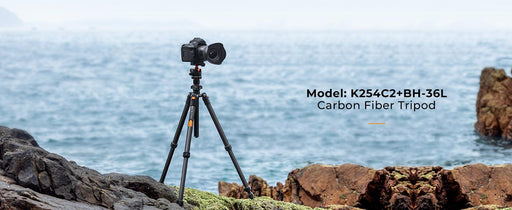 K&F CONCEPT K254C2+BH-36L Carbon Fibre Tripod (weight 1.1kg, load up to 8kg, max height 1.62m, 4 sections) - 673SHOP.com