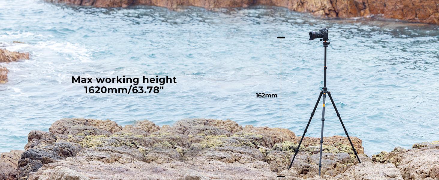 K&F CONCEPT K254C2+BH-36L Carbon Fibre Tripod (weight 1.1kg, load up to 8kg, max height 1.62m, 4 sections) - 673SHOP.com