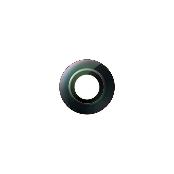 INSTA360 X5 Replacement Lens Kit - Double
