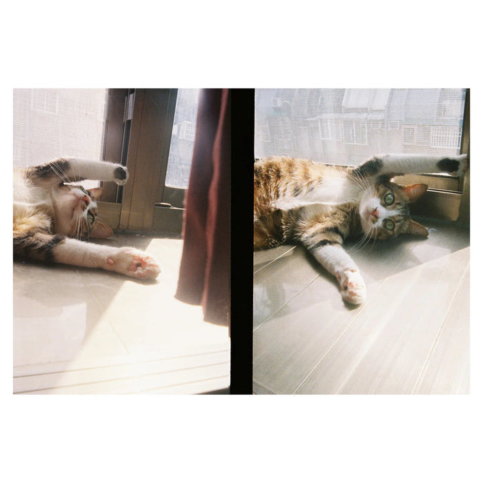 KODAK Ektar H35 (Off-White) w/ Ultramax 24EXP (Copy)