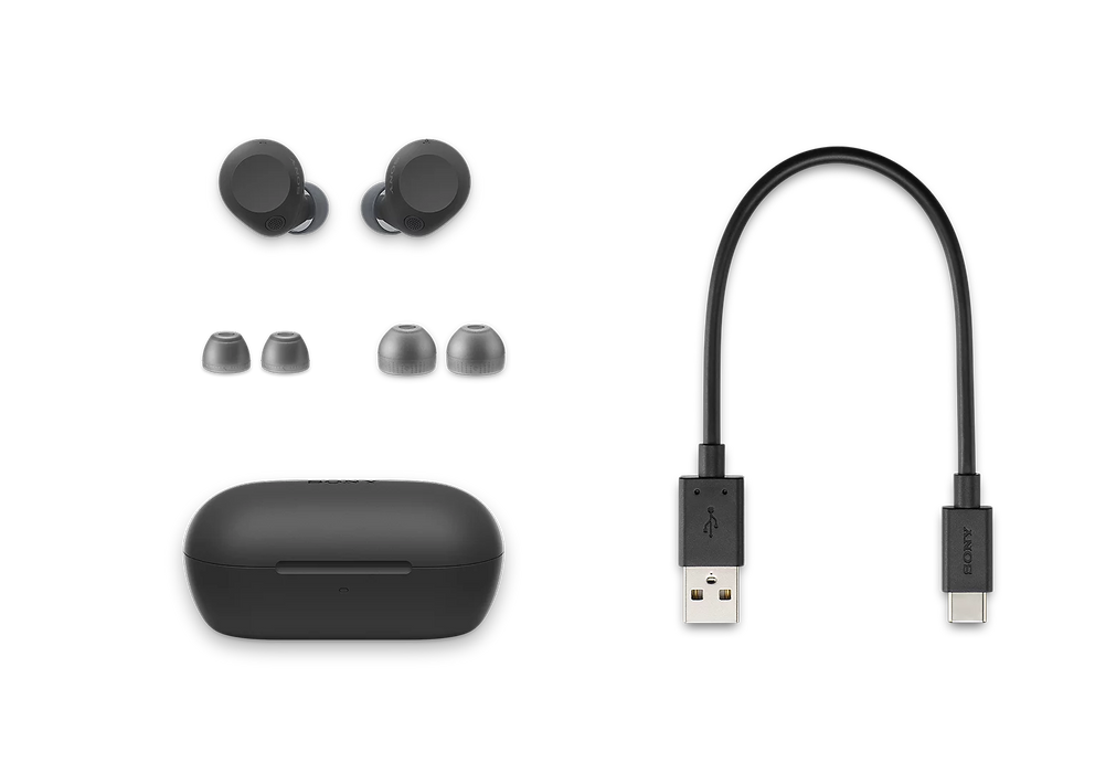 SONY WF-C710N Wireless Noise Canceling Earbuds (Black)